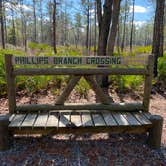 Review photo of Jennings State Forest Mule Landing Campground by Stuart K., March 8, 2025