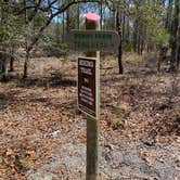 Review photo of Jennings State Forest Mule Landing Campground by Stuart K., March 8, 2025