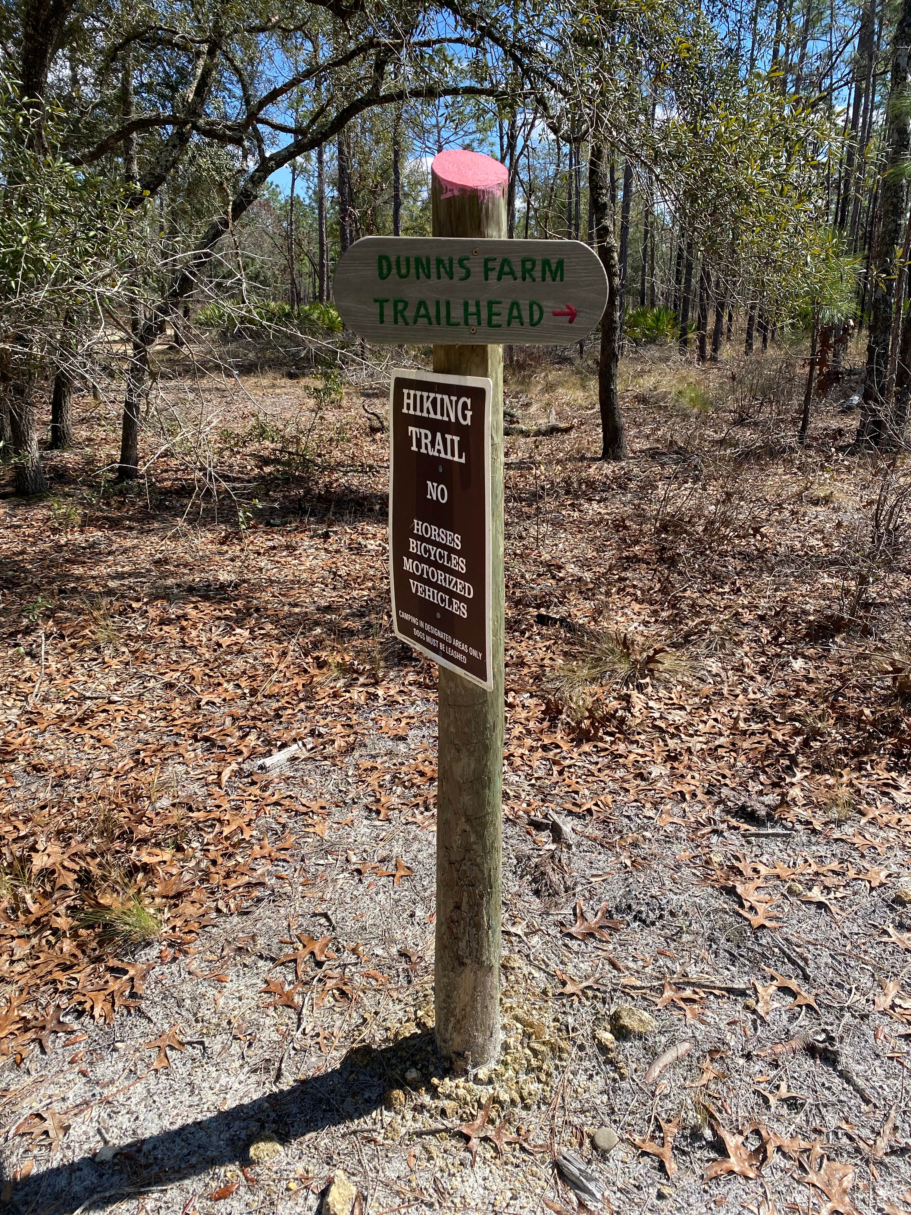 Camper submitted image from Mule Landing Campsite on the Pioneer Trail - 4