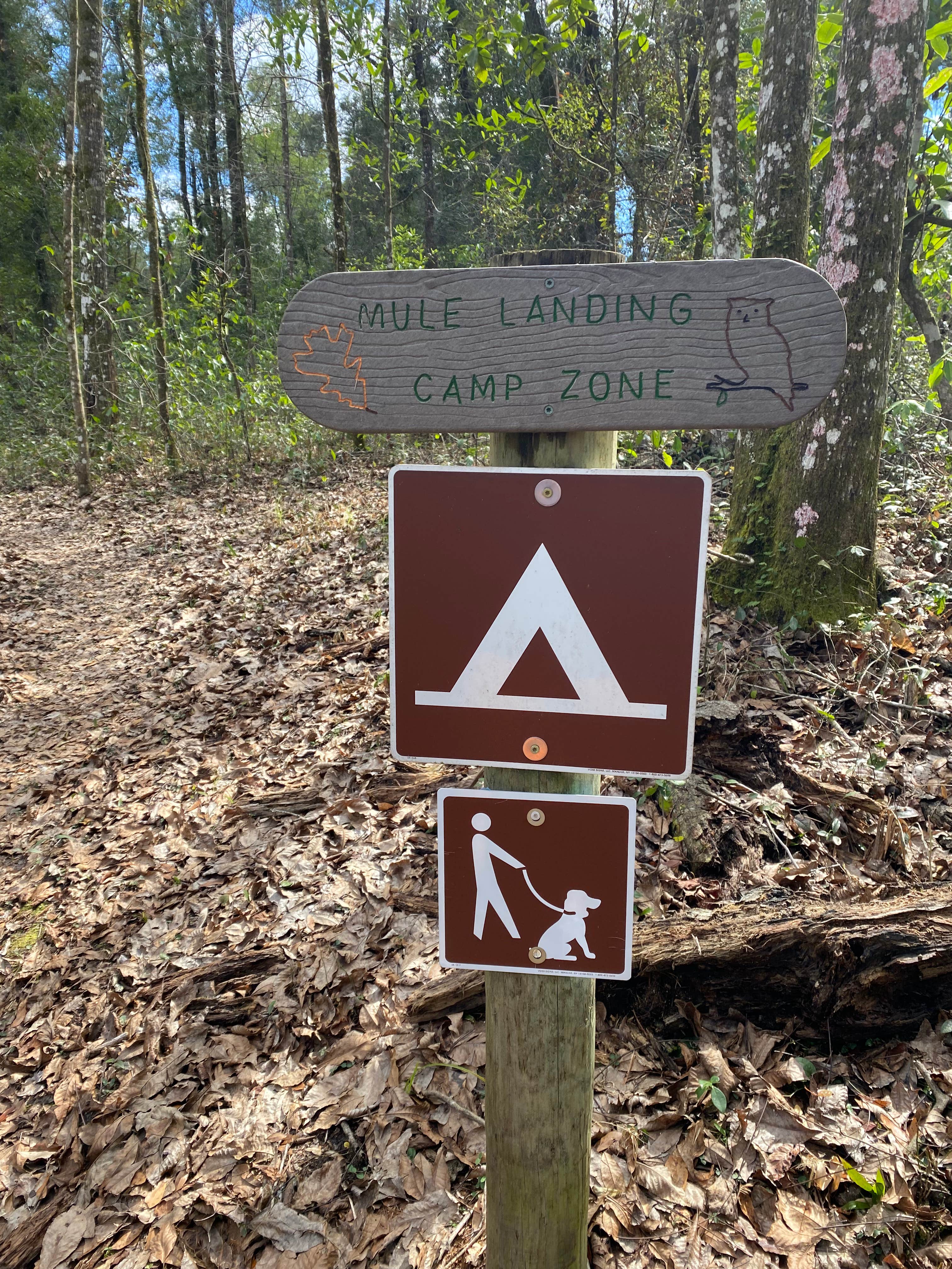 Camper-submitted photo at Mule Landing Campsite on the Pioneer Trail near Middleburg, FL
