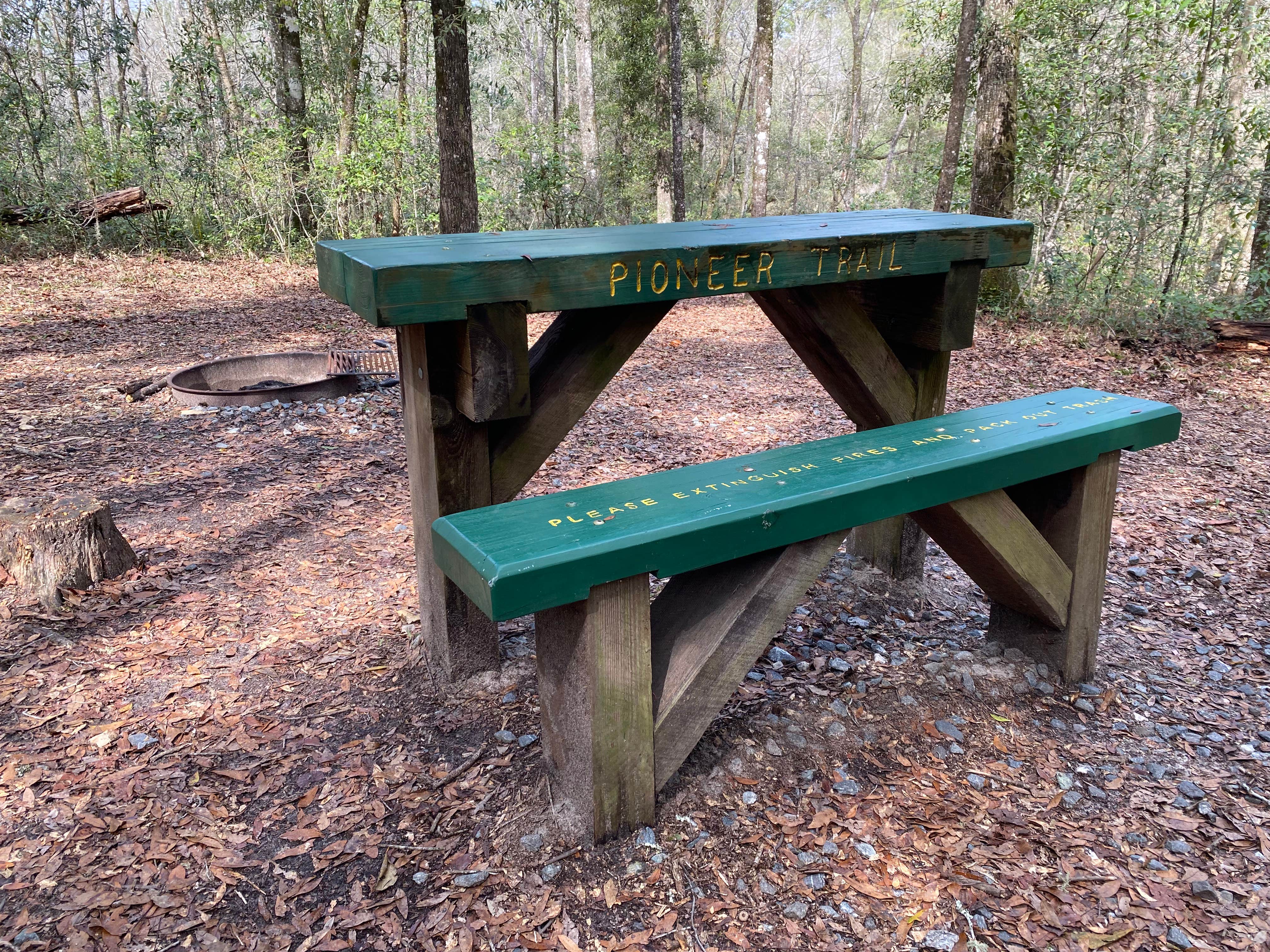 Camper submitted image from Jennings State Forest Mule Landing Campground - 2