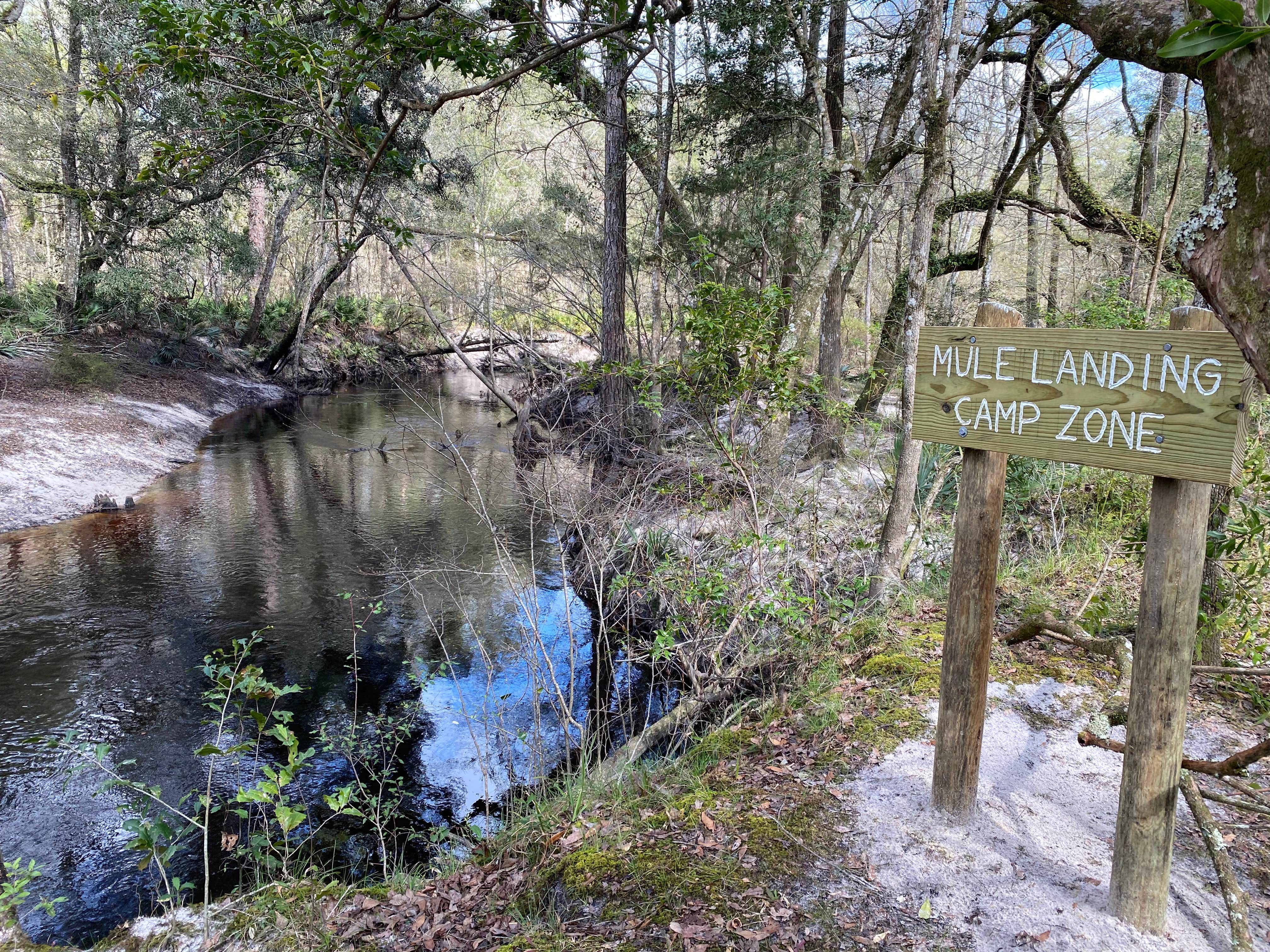 Camper-submitted photo at Mule Landing Campsite on the Pioneer Trail near Middleburg, FL