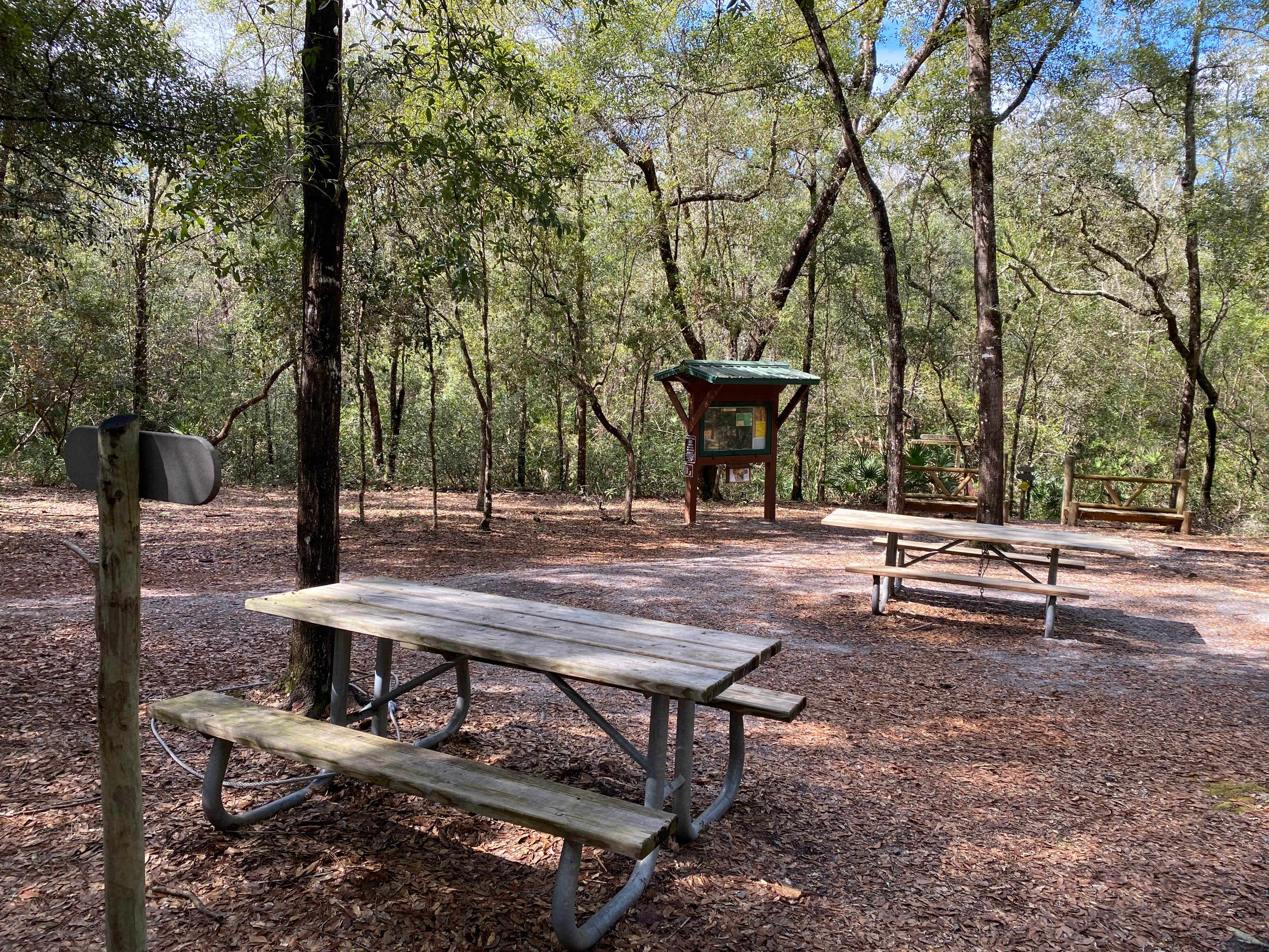 Camper-submitted photo at Mule Landing Campsite on the Pioneer Trail near Middleburg, FL
