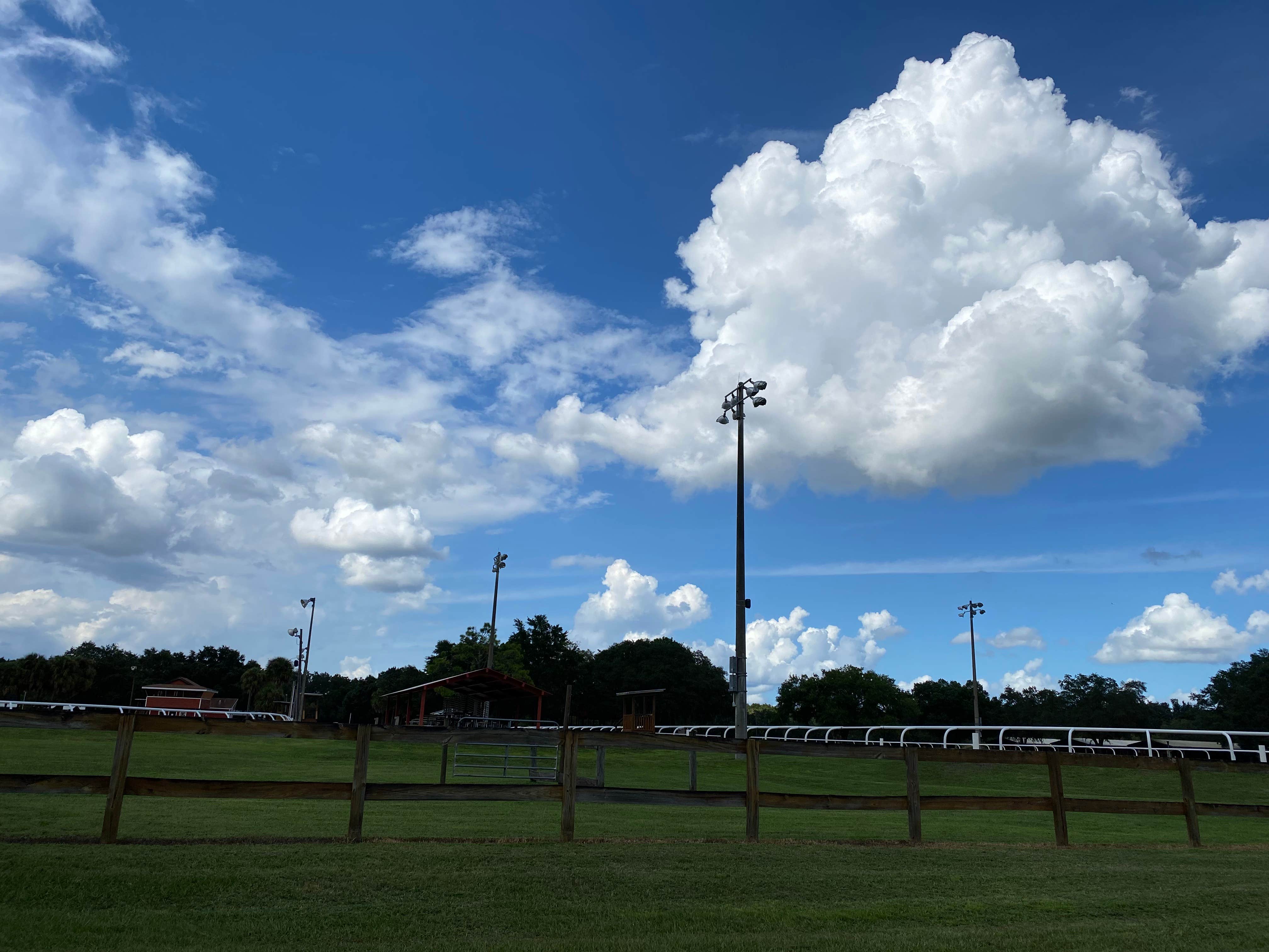 Camper-submitted photo at Clarcona Horse Park near Goldenrod, FL