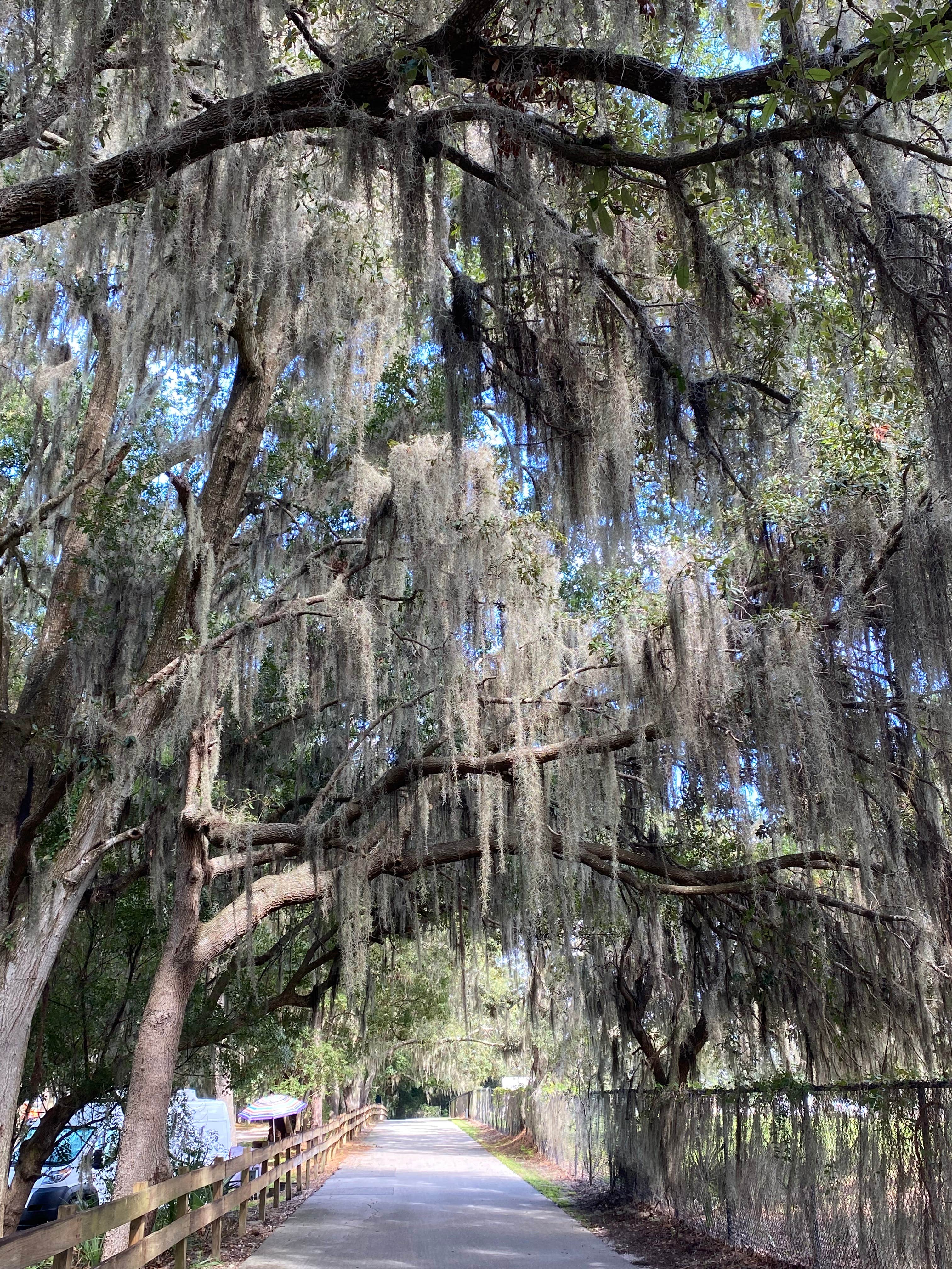 Camper-submitted photo at Clarcona Horse Park near Goldenrod, FL