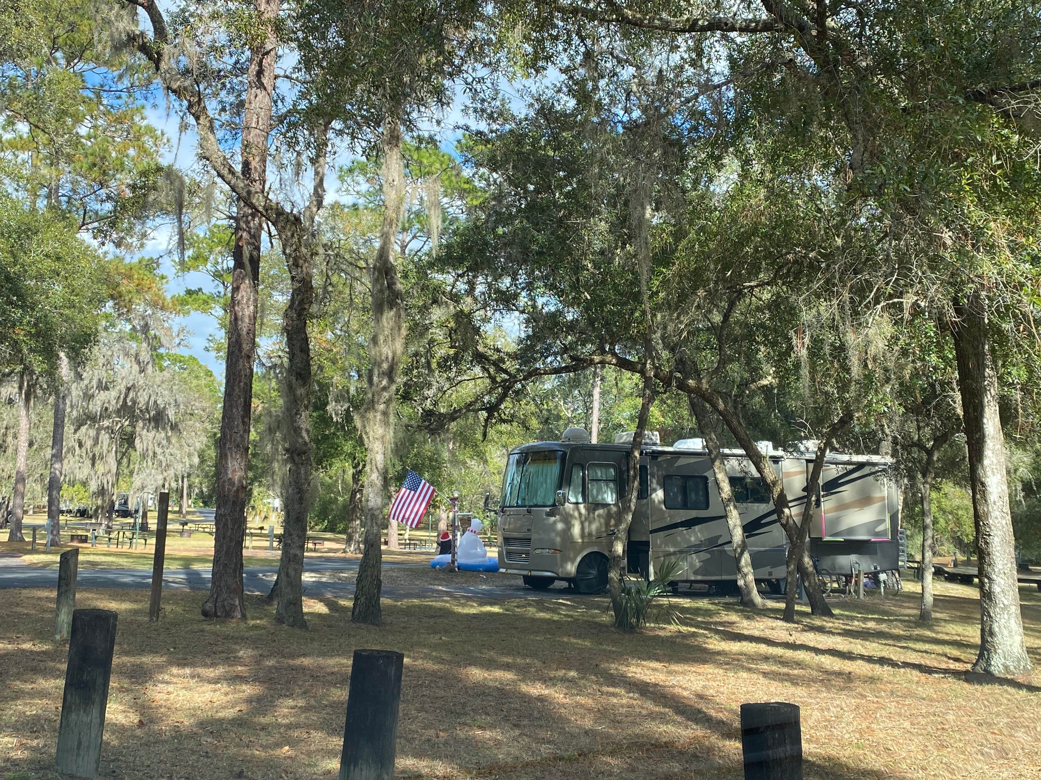 Stuart K.'s photo at Salt Springs Recreation Area near Ocala National Forest