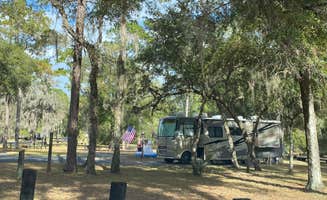 Stuart K.'s photo at Salt Springs Recreation Area near San Mateo, FL