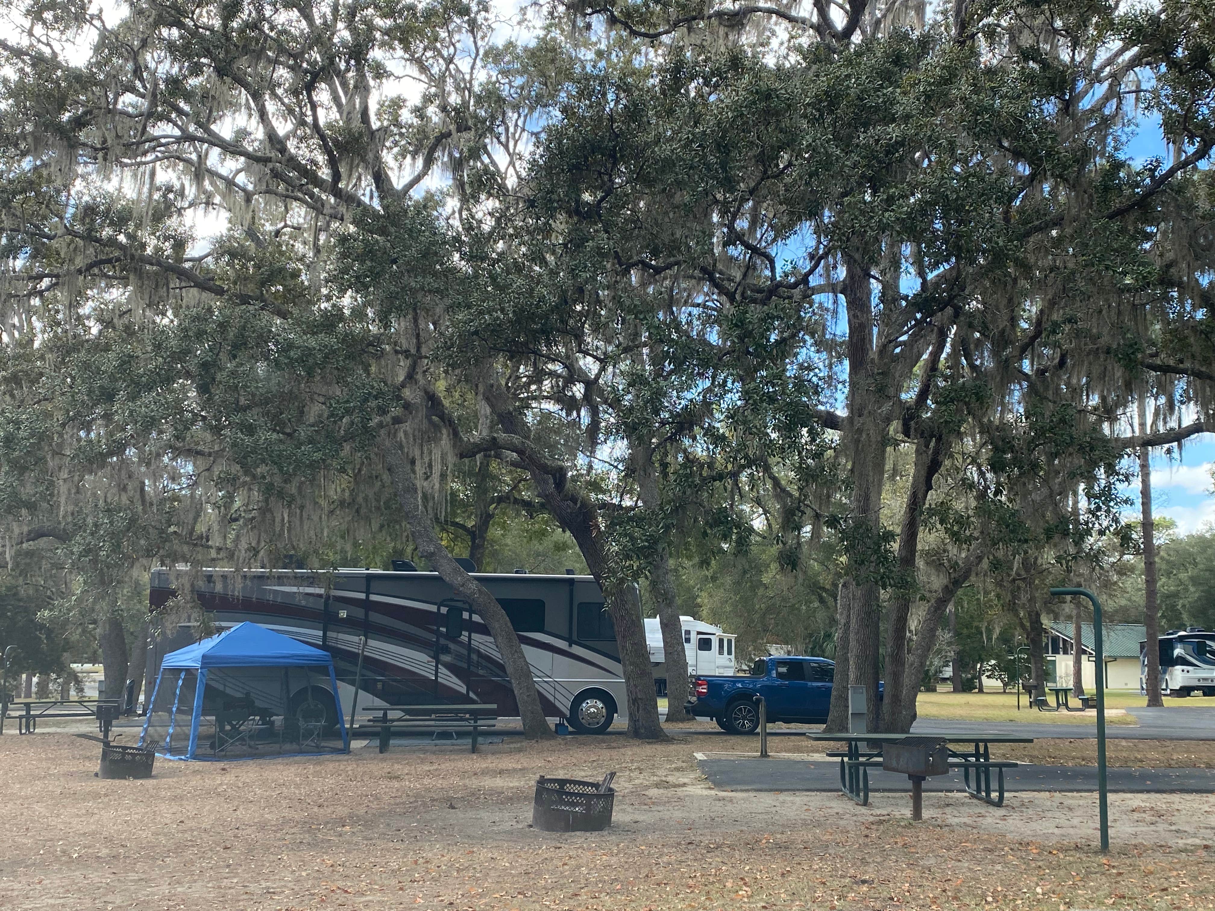 Stuart K.'s photo at Salt Springs Recreation Area near Pomona Park, FL
