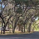 Review photo of Salt Springs Recreation Area by Stuart K., March 8, 2025