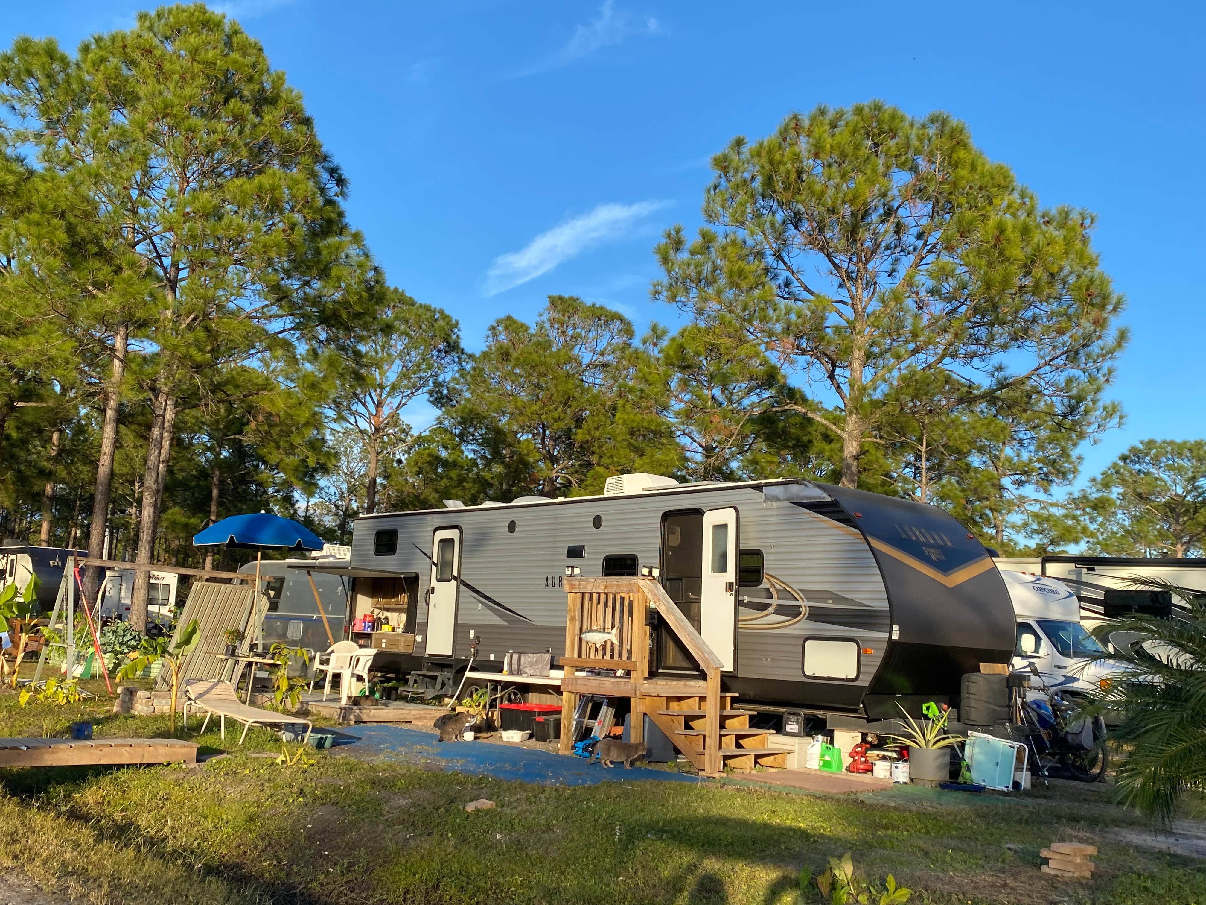 Stuart K.'s photo of camping with pets at Palm Coast RV Park near Ormond Beach, FL