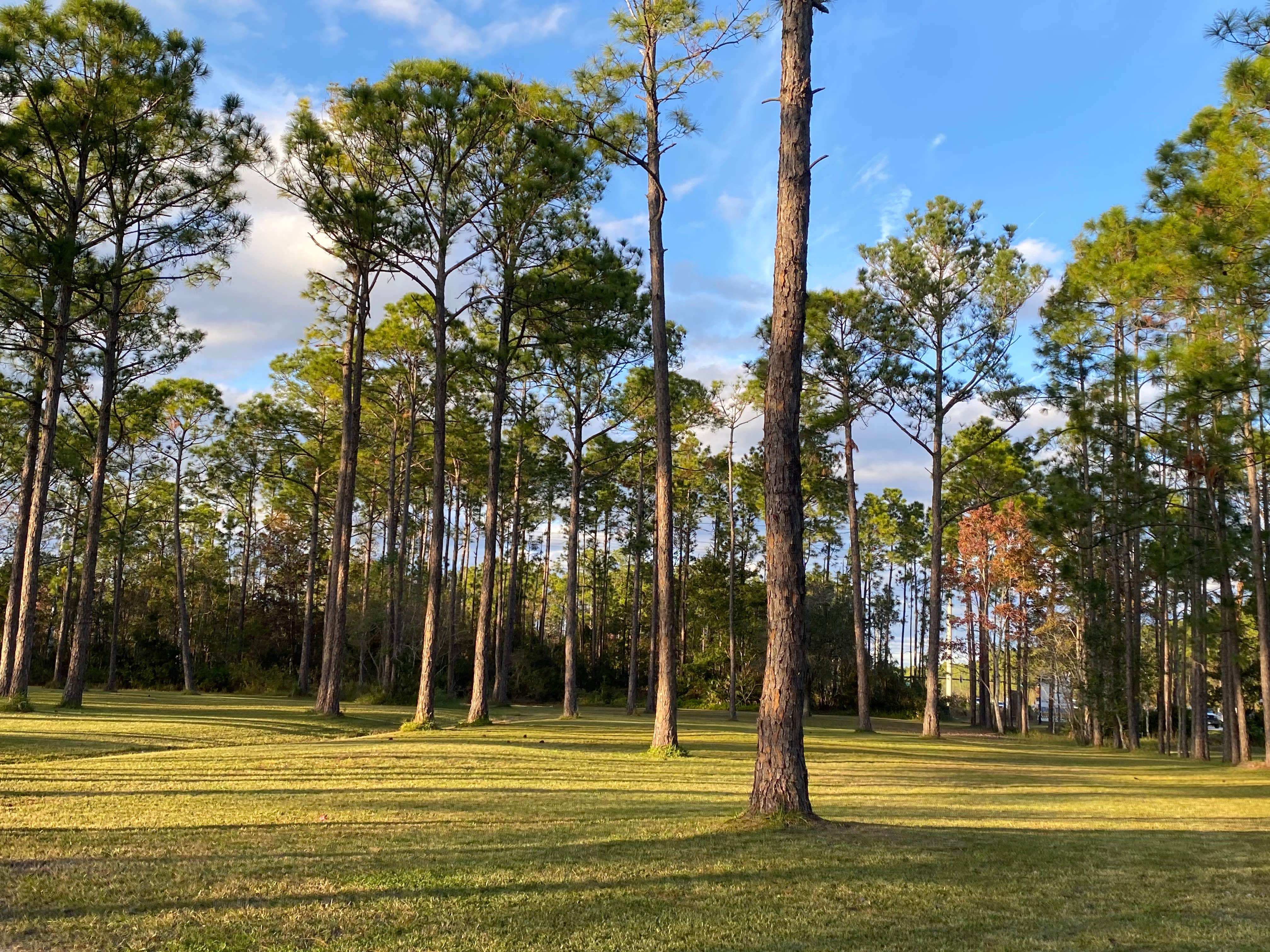 Camper-submitted photo at Palm Coast RV Park near Bunnell, FL