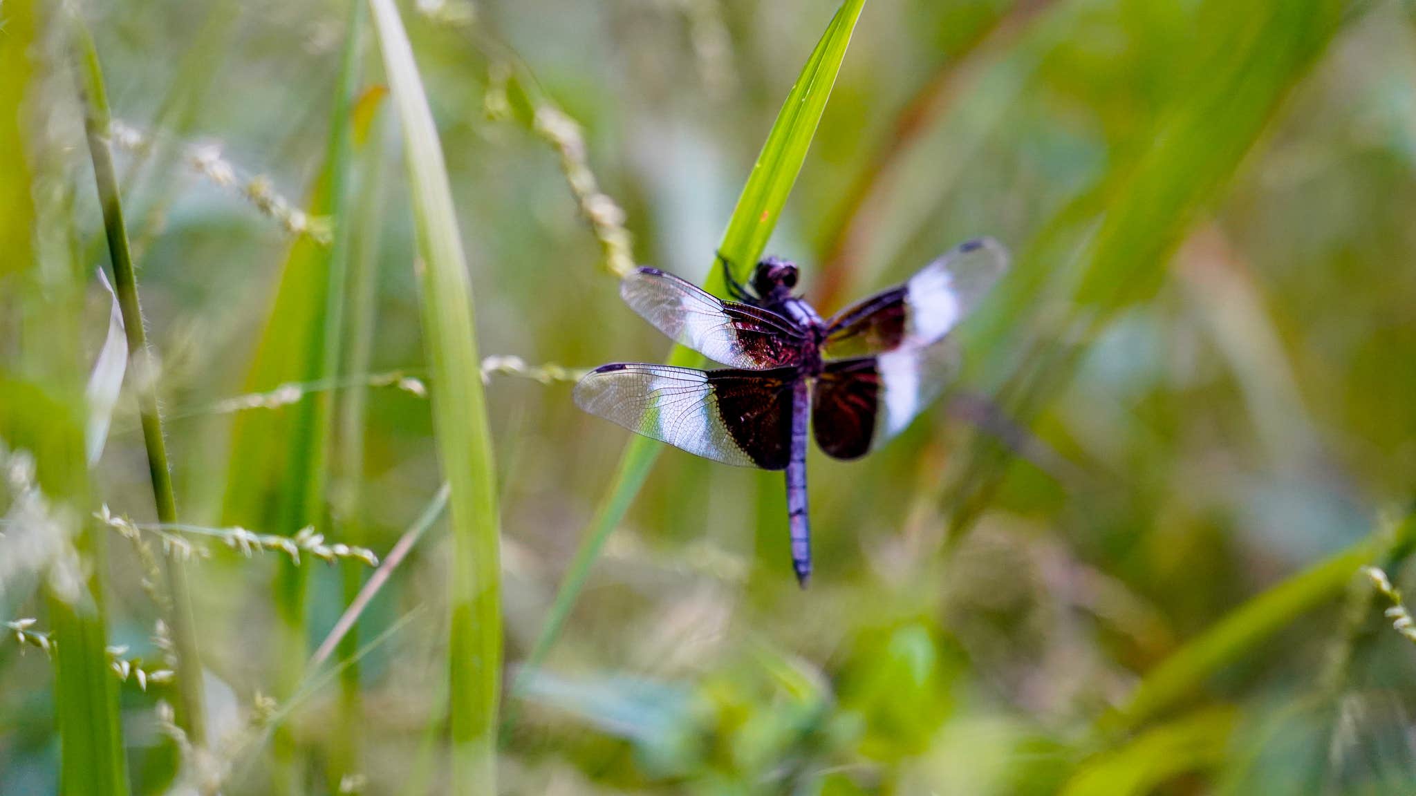 Camper-submitted photo at Camp Escape near Fort Knox, KY