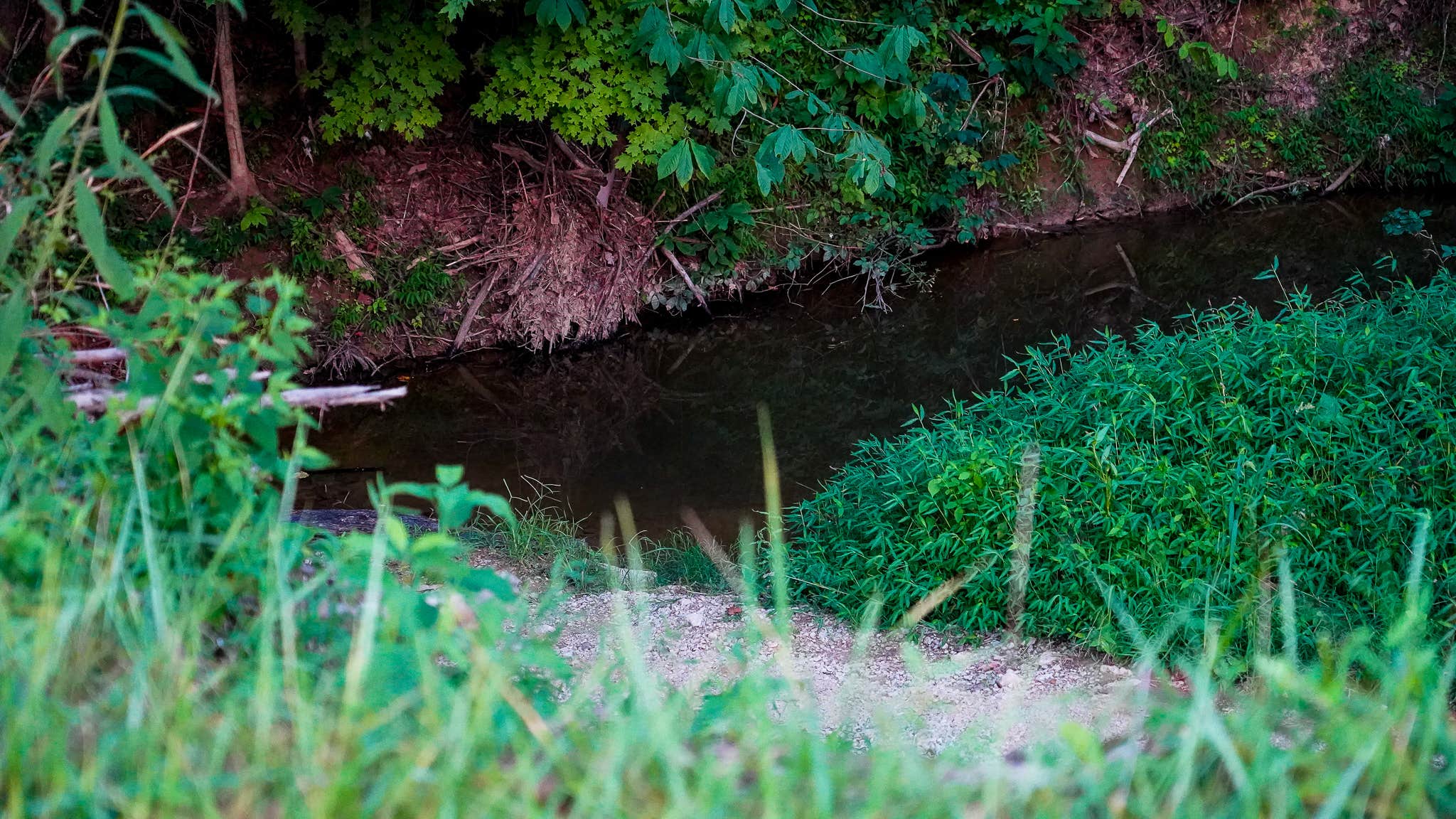 Camper-submitted photo at Camp Escape near Fort Knox, KY