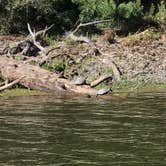 Review photo of Huntsville State Park Campground by Jeff H., July 6, 2019