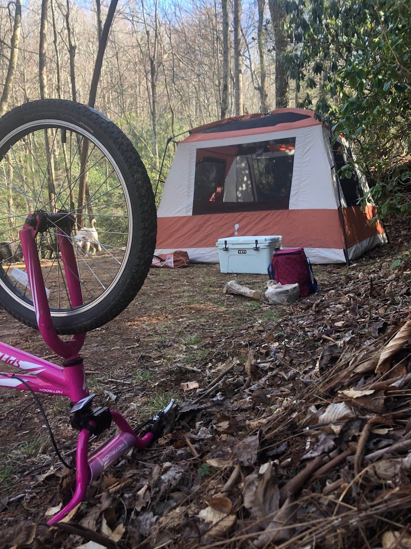 Dupont B.'s photo at DuPont Bike Retreat near Flat Rock, NC