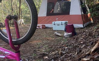 Dupont B.'s photo of camping with pets at DuPont Bike Retreat near Flat Rock, NC