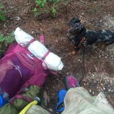 Review photo of Foster Falls Campground — South Cumberland State Park by Shelly S., July 8, 2016