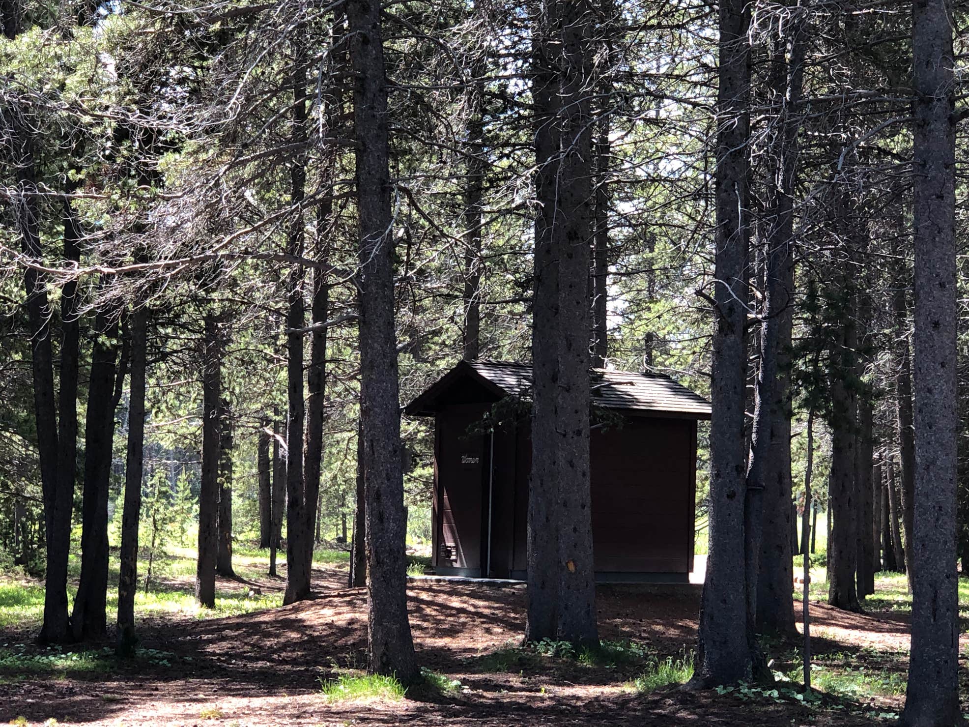 East Fork Camping The Dyrt