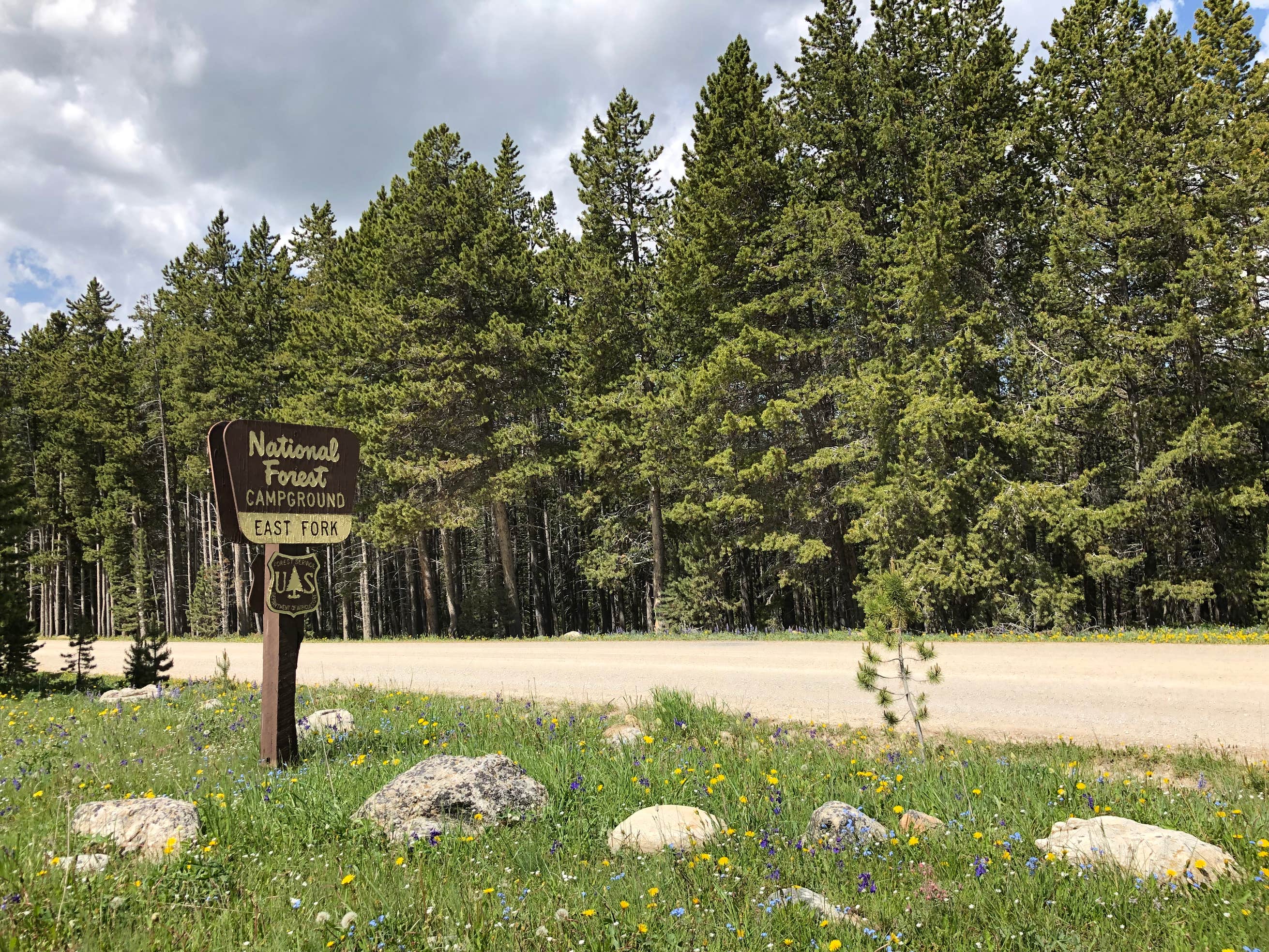 East Fork Camping The Dyrt