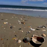Review photo of Ocracoke Campground — Cape Hatteras National Seashore by Lee D., March 9, 2025