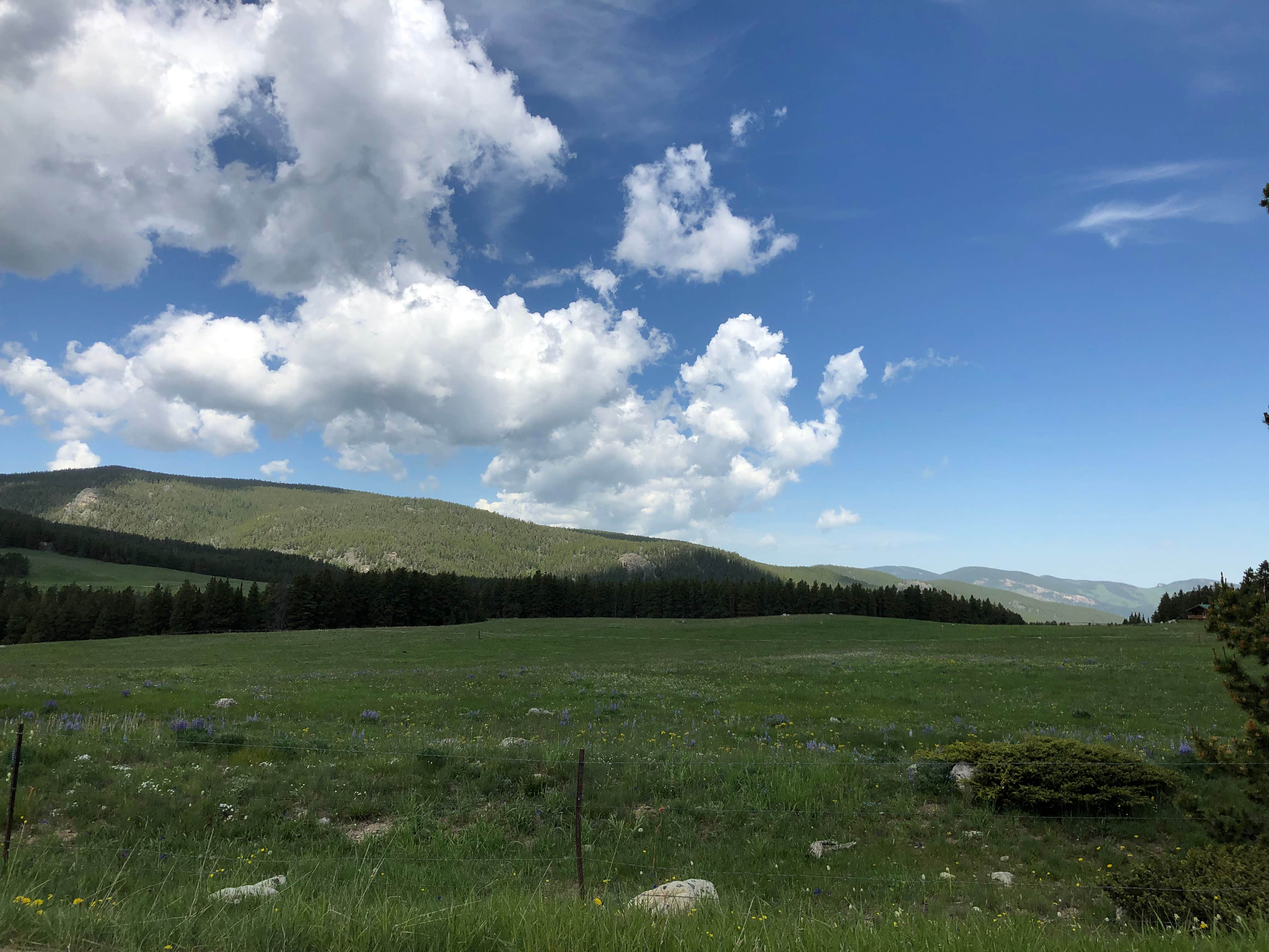 View All