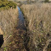 Review photo of Oregon Inlet Campground — Cape Hatteras National Seashore by Lee D., March 9, 2025