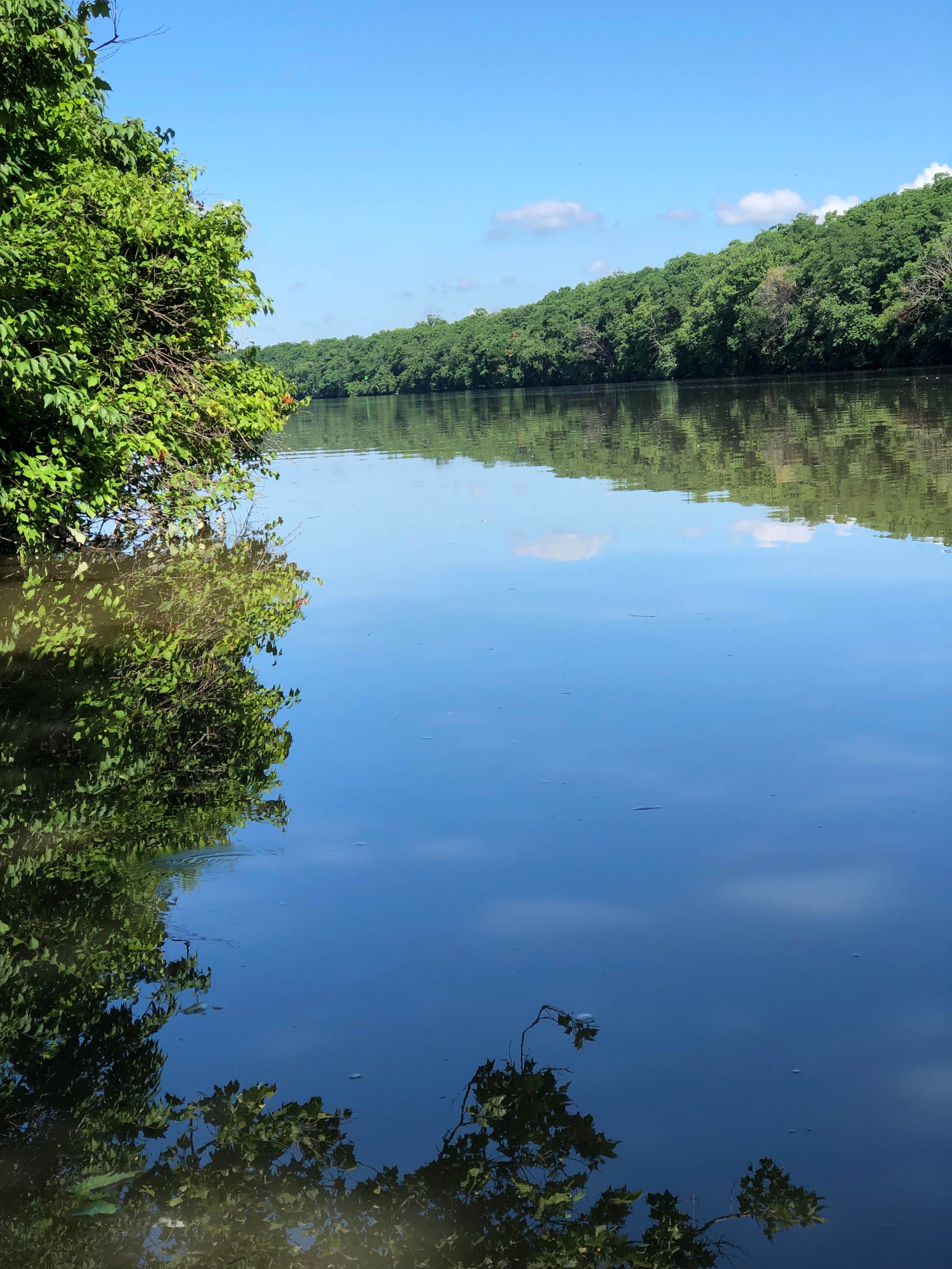 Camper-submitted photo at Great Falls Campground — Illini State Park near Somonauk, IL