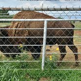 Review photo of El Reno West KOA by Kelly B., July 6, 2019