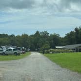 Review photo of Walkabout Camp & RV Park by Stuart K., March 9, 2025