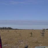 Review photo of Big Bog State Recreation Area by Ellen F., September 17, 2016