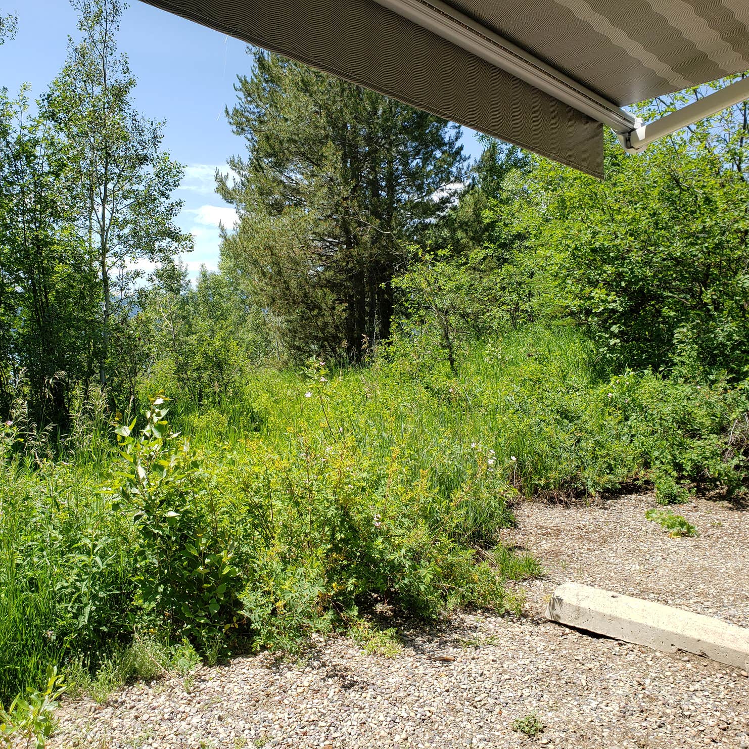 Alpine North Loop Campground Targhee, ID