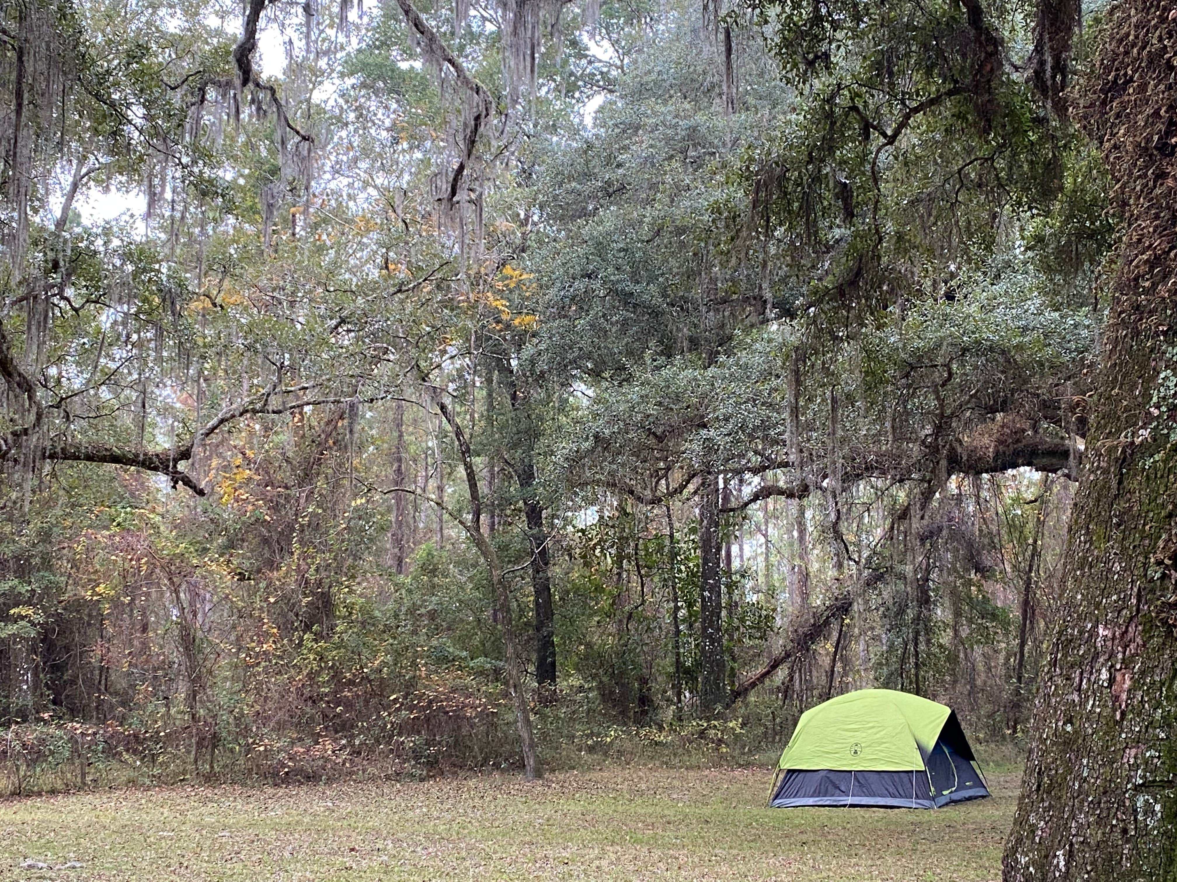 Camper-submitted photo at Charlton County Traders Hill Recreation Area and Campground near Folkston, GA