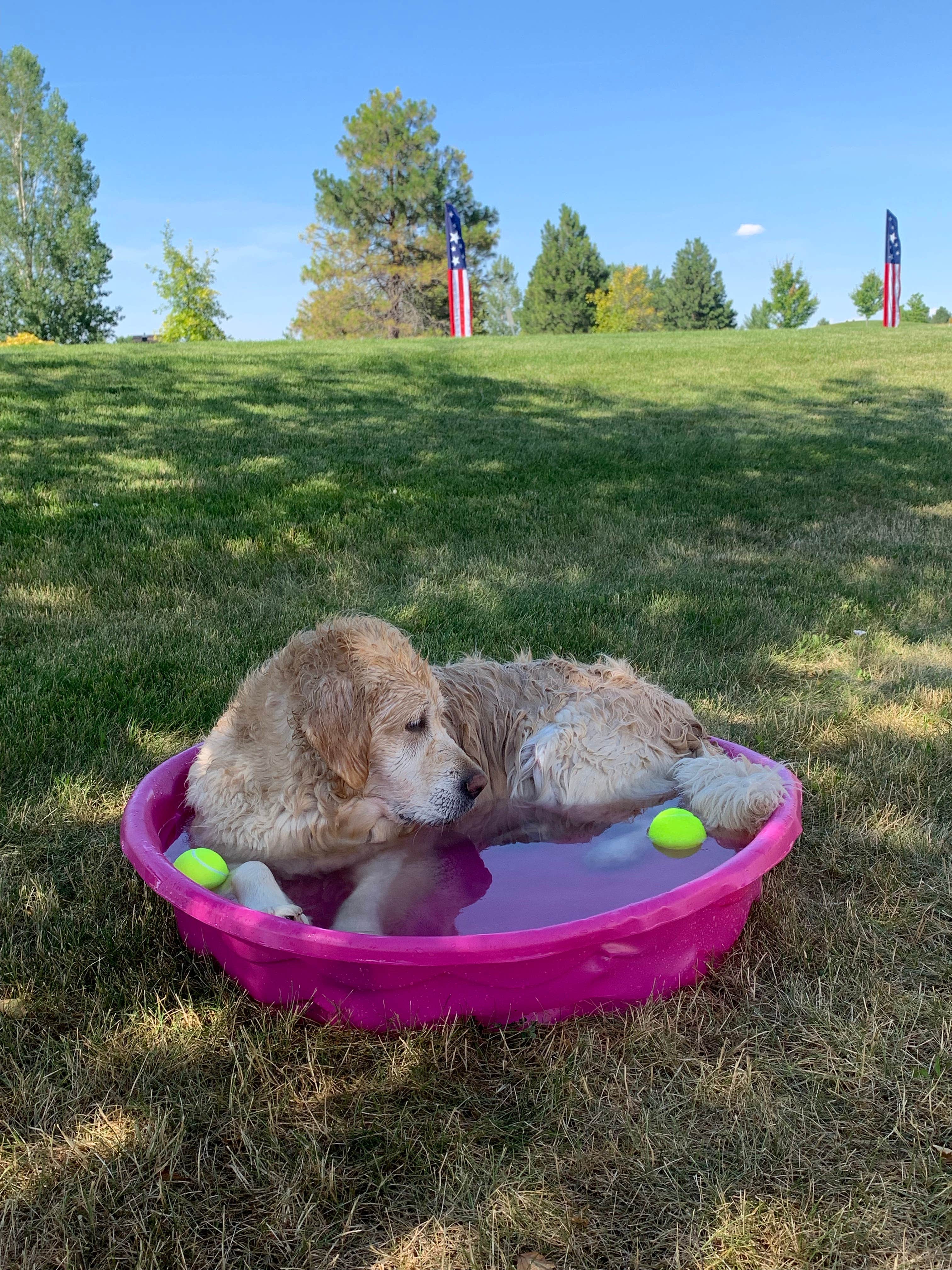Camper-submitted photo at Wildhorse Casino near Adams, OR
