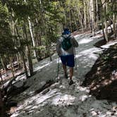 Review photo of Baker Creek Campground — Great Basin National Park by Deborah C., July 6, 2019