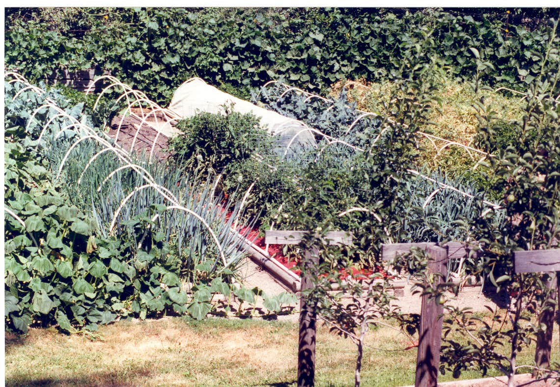 Camper-submitted photo at Food & Energy Self-Reliant Tiny House/RV Village near Usk, WA