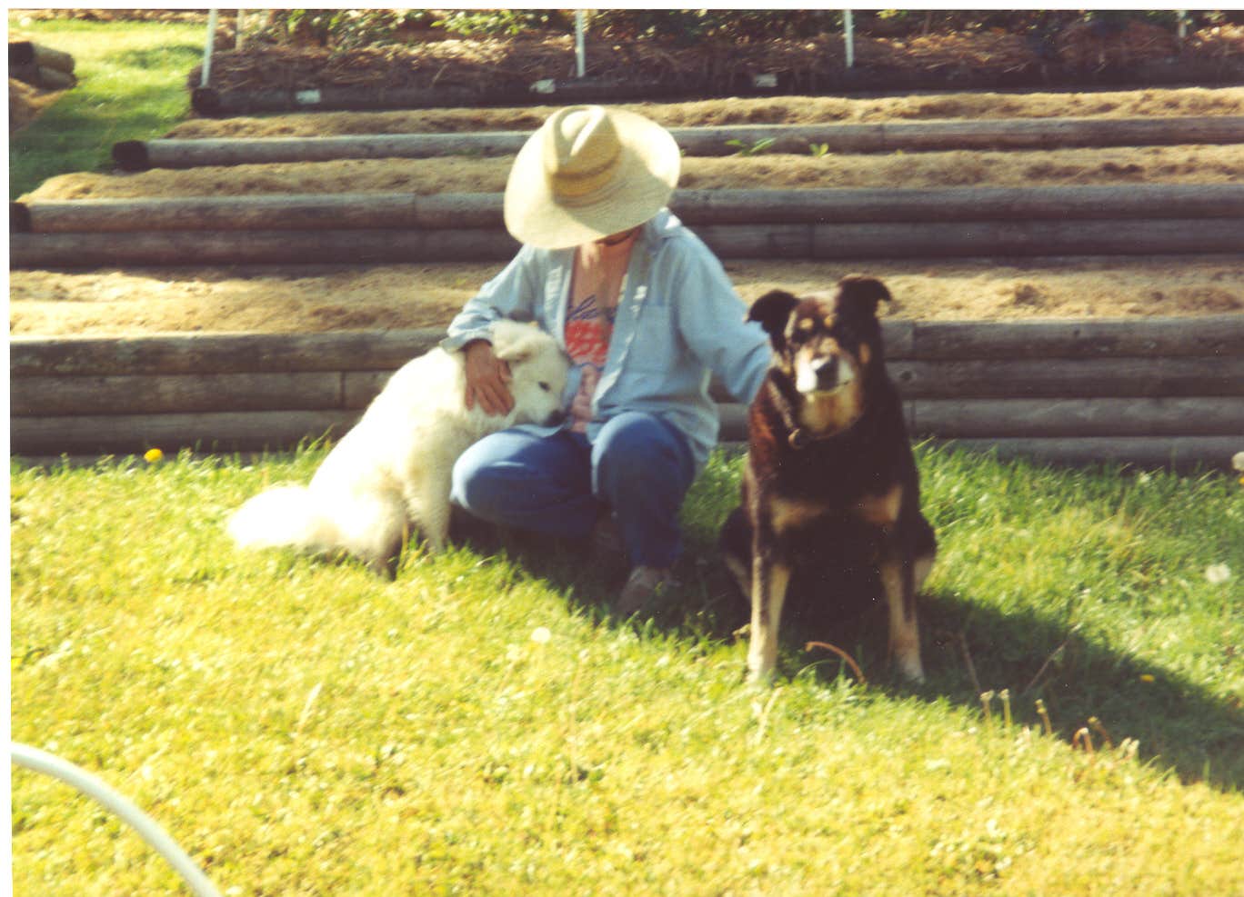 Camper-submitted photo at Food & Energy Self-Reliant Tiny House/RV Village near Usk, WA