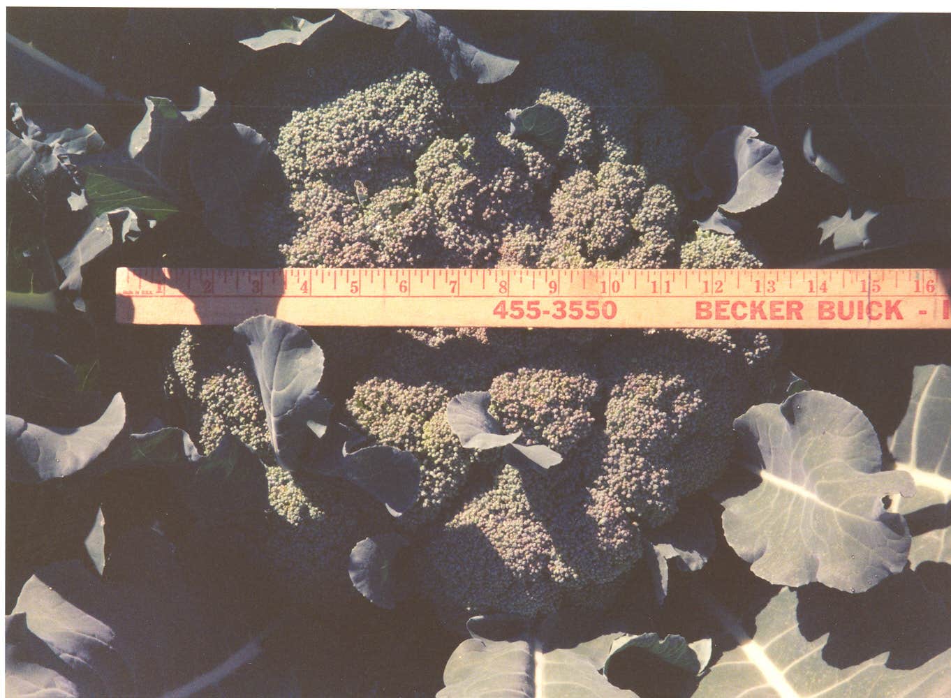 Camper-submitted photo at Food & Energy Self-Reliant Tiny House/RV Village near Usk, WA