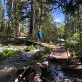 Review photo of Baker Creek Campground — Great Basin National Park by Deborah C., July 6, 2019