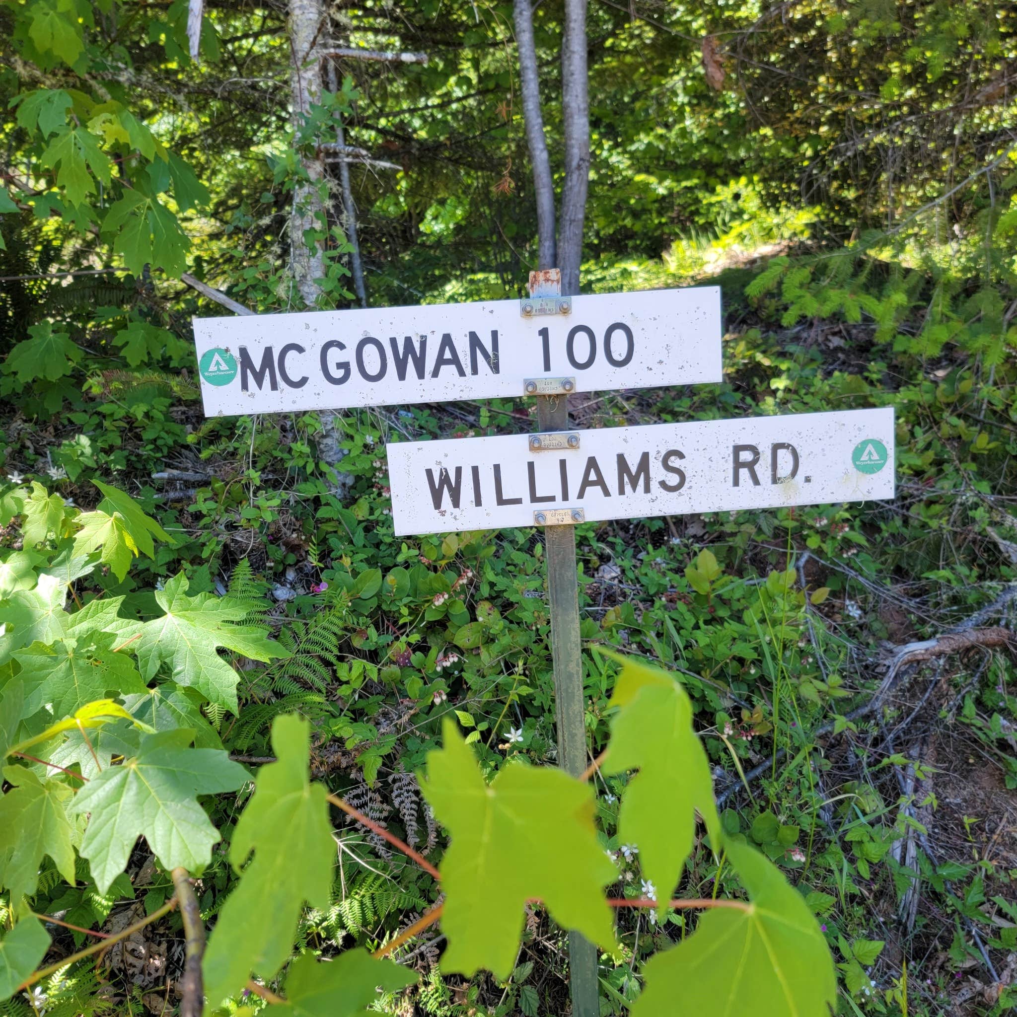 Camper-submitted photo at The Willamettans near Foster, OR