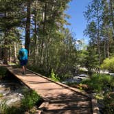 Review photo of Baker Creek Campground — Great Basin National Park by Deborah C., July 6, 2019