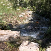 Review photo of Baker Creek Campground — Great Basin National Park by Deborah C., July 6, 2019