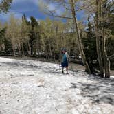 Review photo of Baker Creek Campground — Great Basin National Park by Deborah C., July 6, 2019