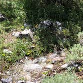 Review photo of Baker Creek Campground — Great Basin National Park by Deborah C., July 6, 2019