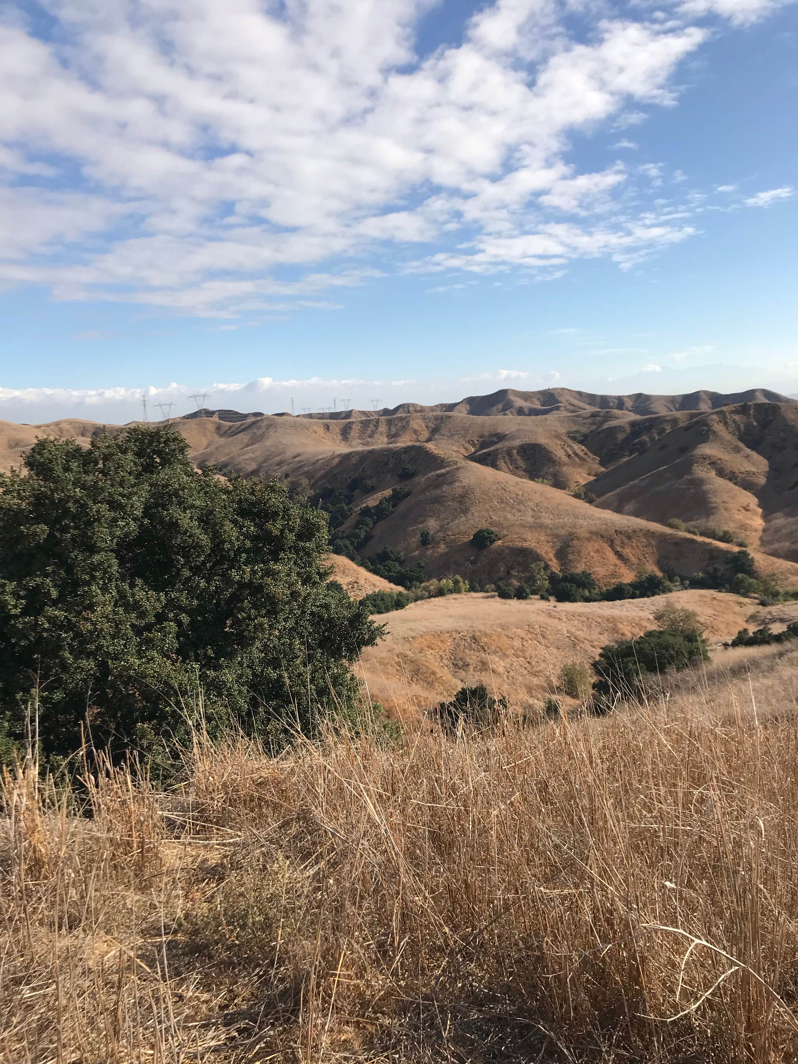 Camper-submitted photo at Rolling M. Ranch Campground — Chino Hills State Park near Whittier, CA