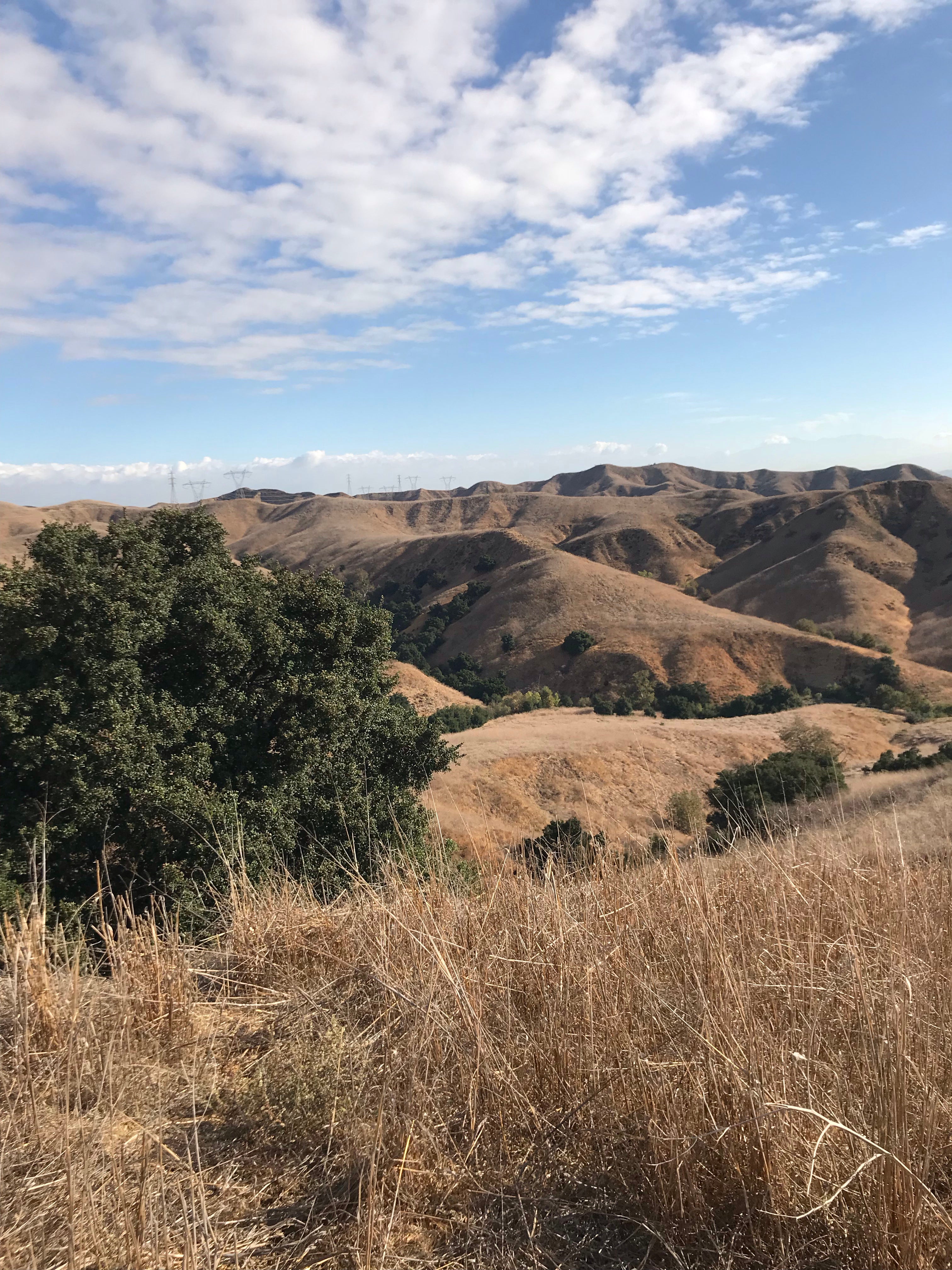 Camper submitted image from Rolling M. Ranch Campground — Chino Hills State Park - 2