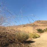 Review photo of Rolling M. Ranch Campground — Chino Hills State Park by Jean  K., July 6, 2019