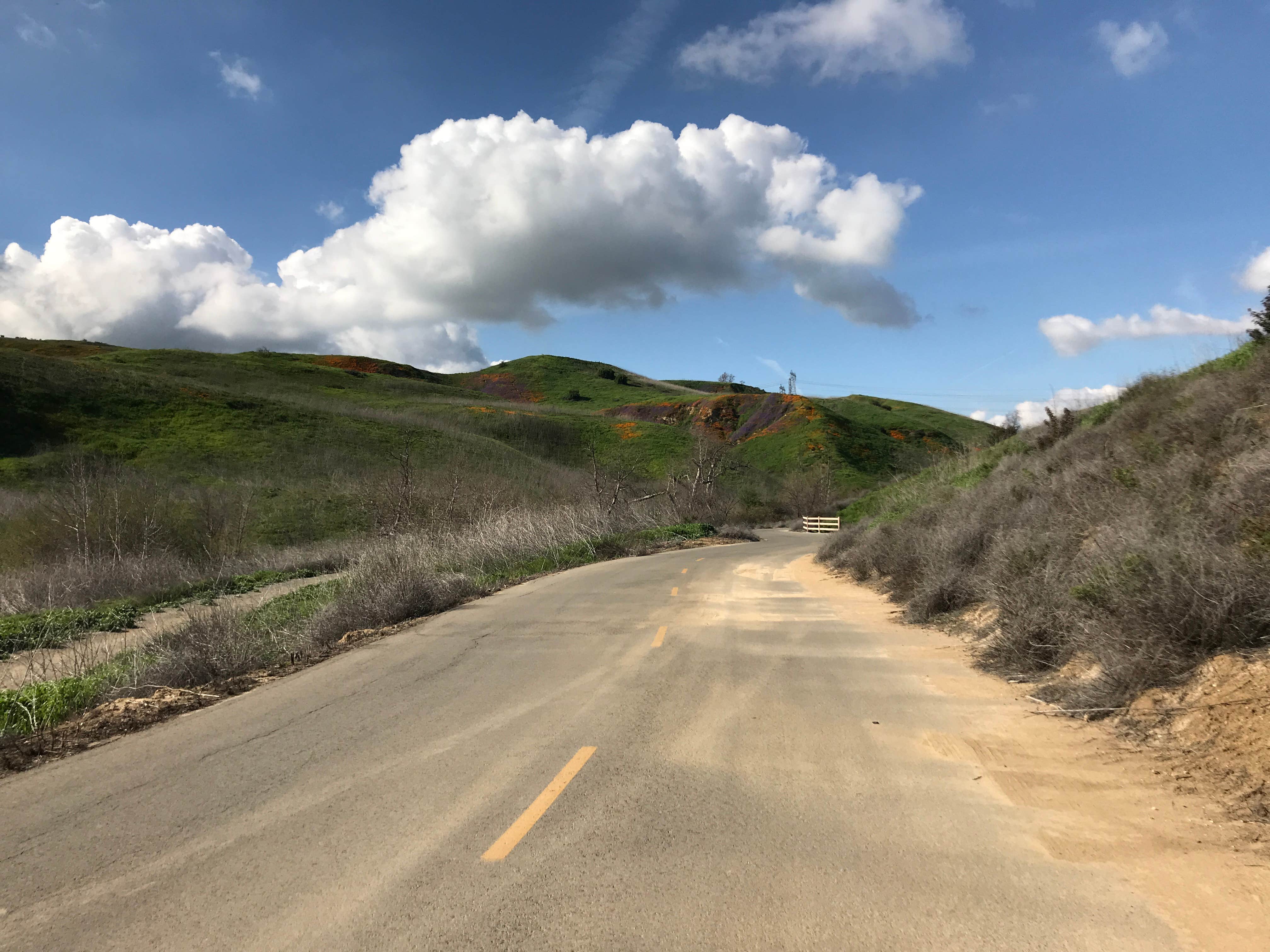 Camper submitted image from Rolling M. Ranch Campground — Chino Hills State Park - 3