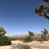 Review photo of Black Rock Campground — Joshua Tree National Park by Jean  K., July 6, 2019