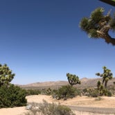 Review photo of Black Rock Equestrian Campground - Joshua Tree by Jean  K., July 6, 2019