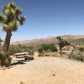 Review photo of Black Rock Campground — Joshua Tree National Park by Jean  K., July 6, 2019